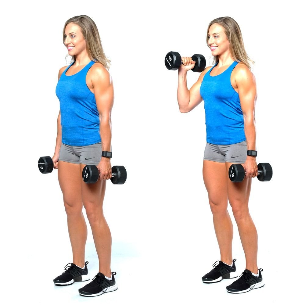 Hammer Curl