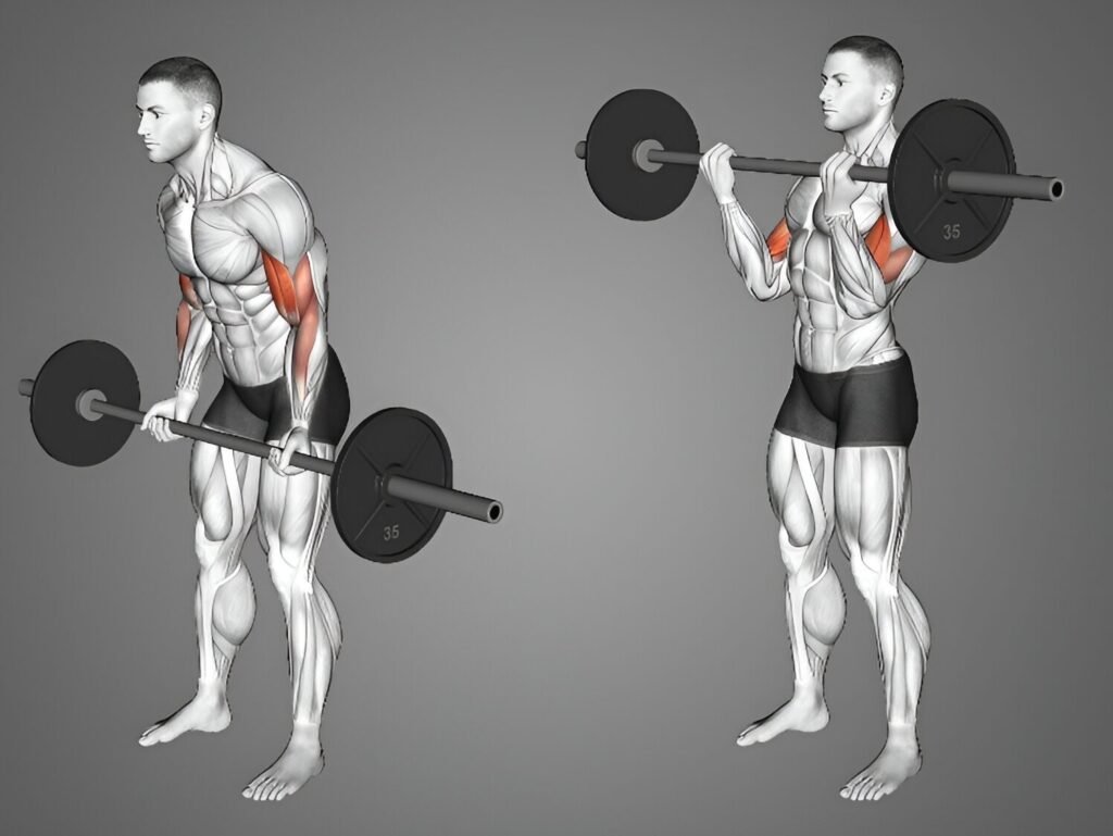 barbell-cheat-curls-benefits-1