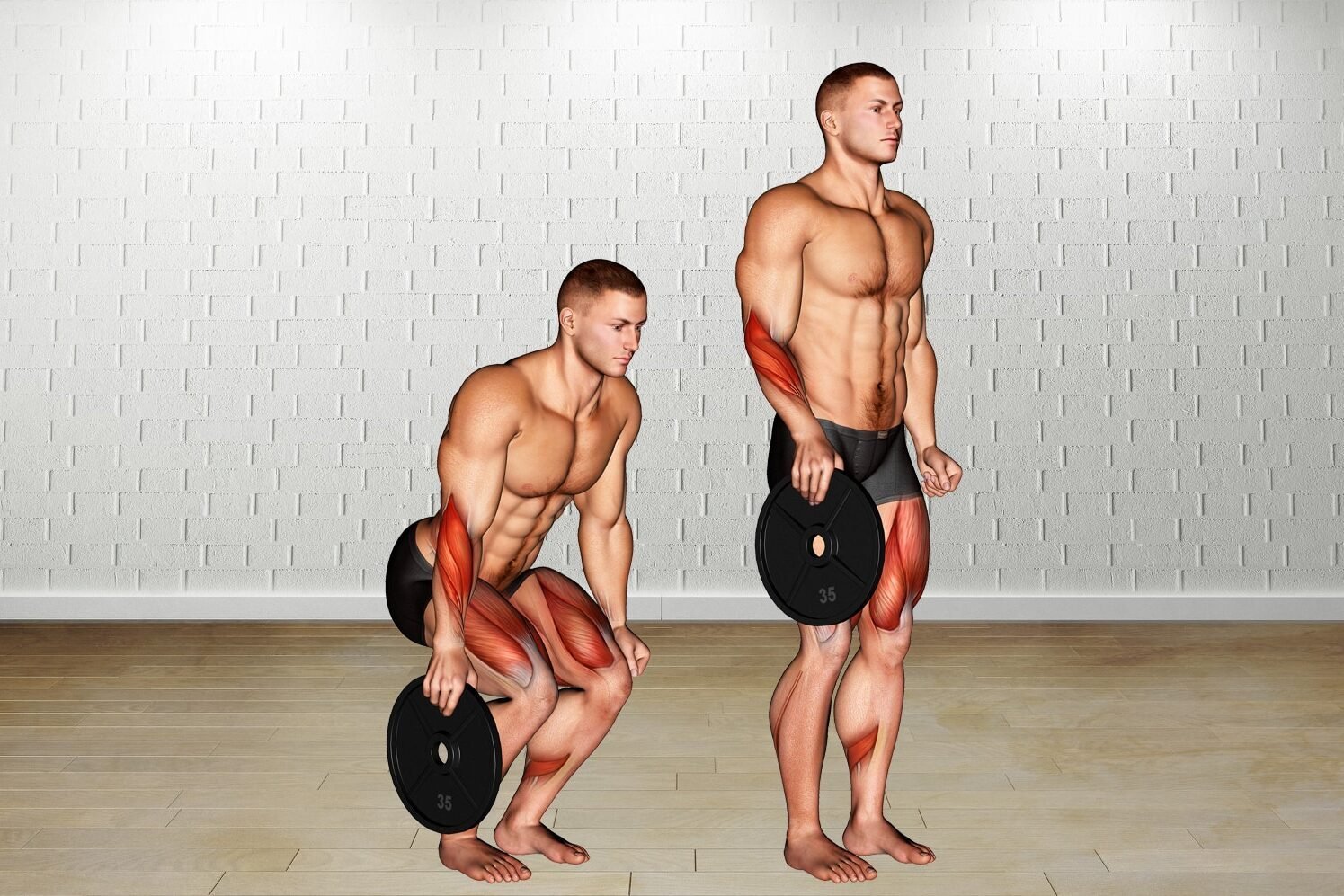 plate-pinch-guide-1