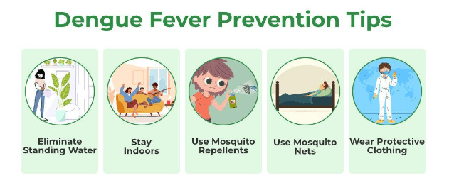 dengue fever prevention strategies dengue fever prevention strategies