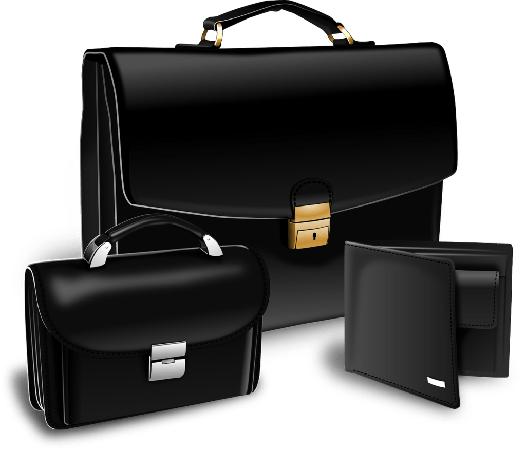Photo by OpenClipart-Vectors briefcase, purse, suitcase