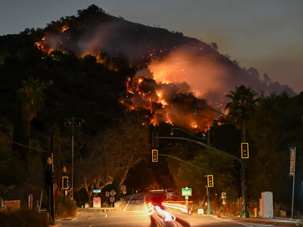 What You Need to Know About the Los Angeles Wildfires: Causes and Consequences Explore the recent Los Angeles wildfires, their devastating impact, firefighting efforts, and lessons learned for future preparedness and resilience.