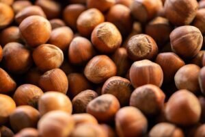 hazelnut, shell, nuts, food, healthy, market, diet, vitamin, fresh, raw, nutrition, nature, snack, protein, vegan, vegetarian, hazelnut, hazelnut, hazelnut, hazelnut, hazelnut