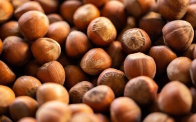 Exploring the Delicious Fusion of Hazelnuts, Chocolate, and Coffee hazelnut, shell, nuts, food, healthy, market, diet, vitamin, fresh, raw, nutrition, nature, snack, protein, vegan, vegetarian, hazelnut, hazelnut, hazelnut, hazelnut, hazelnut